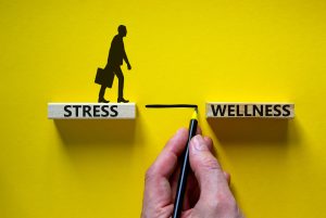 Mind Wellness Programs