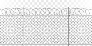 Wire Mesh Fencing